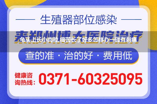 龟头上长小肉粒,痛苦长了好多怎样办一碰有刺痛