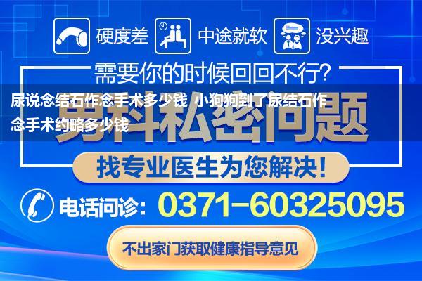 尿说念结石作念手术多少钱_小狗狗到了尿结石作念手术约略多少钱